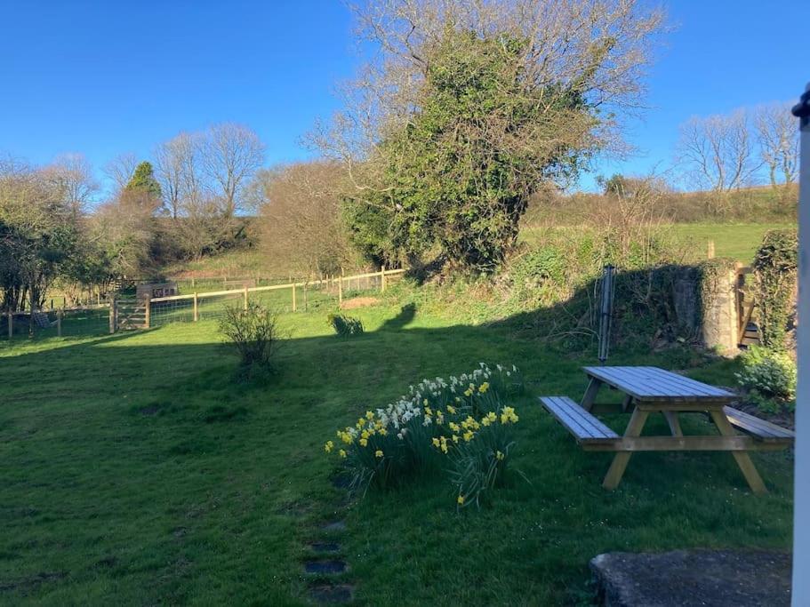 Courtyard - Grade Ii Listed - * Barnstaple